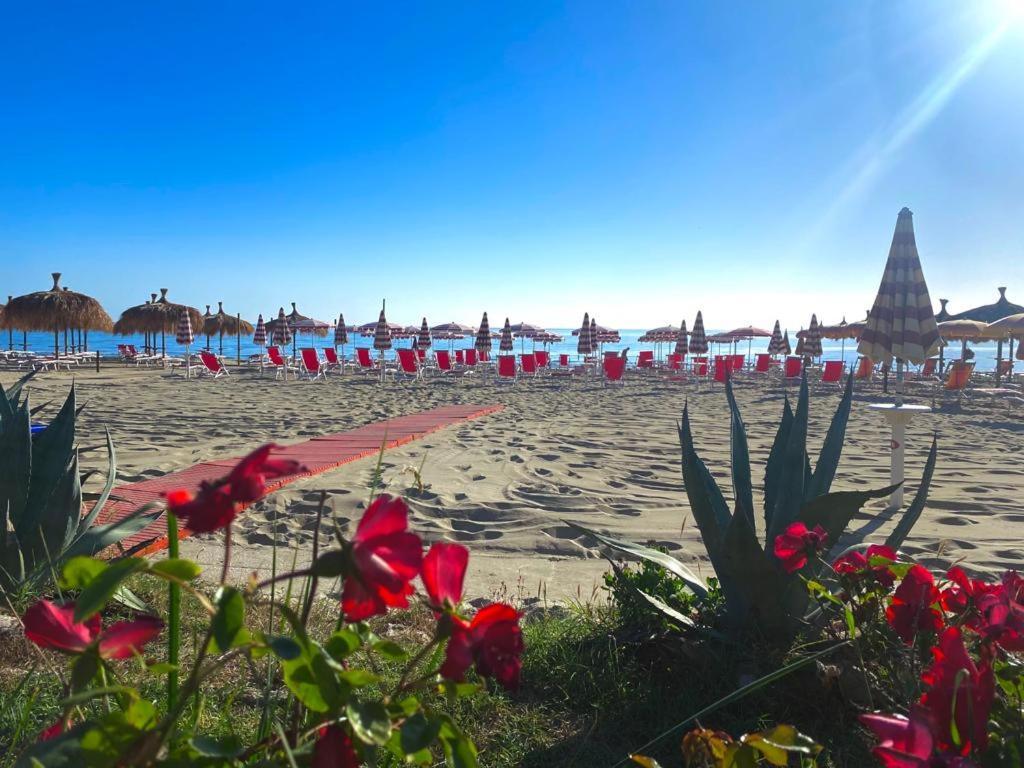 Hotel Silvi Silvi Marina Kültér fotó